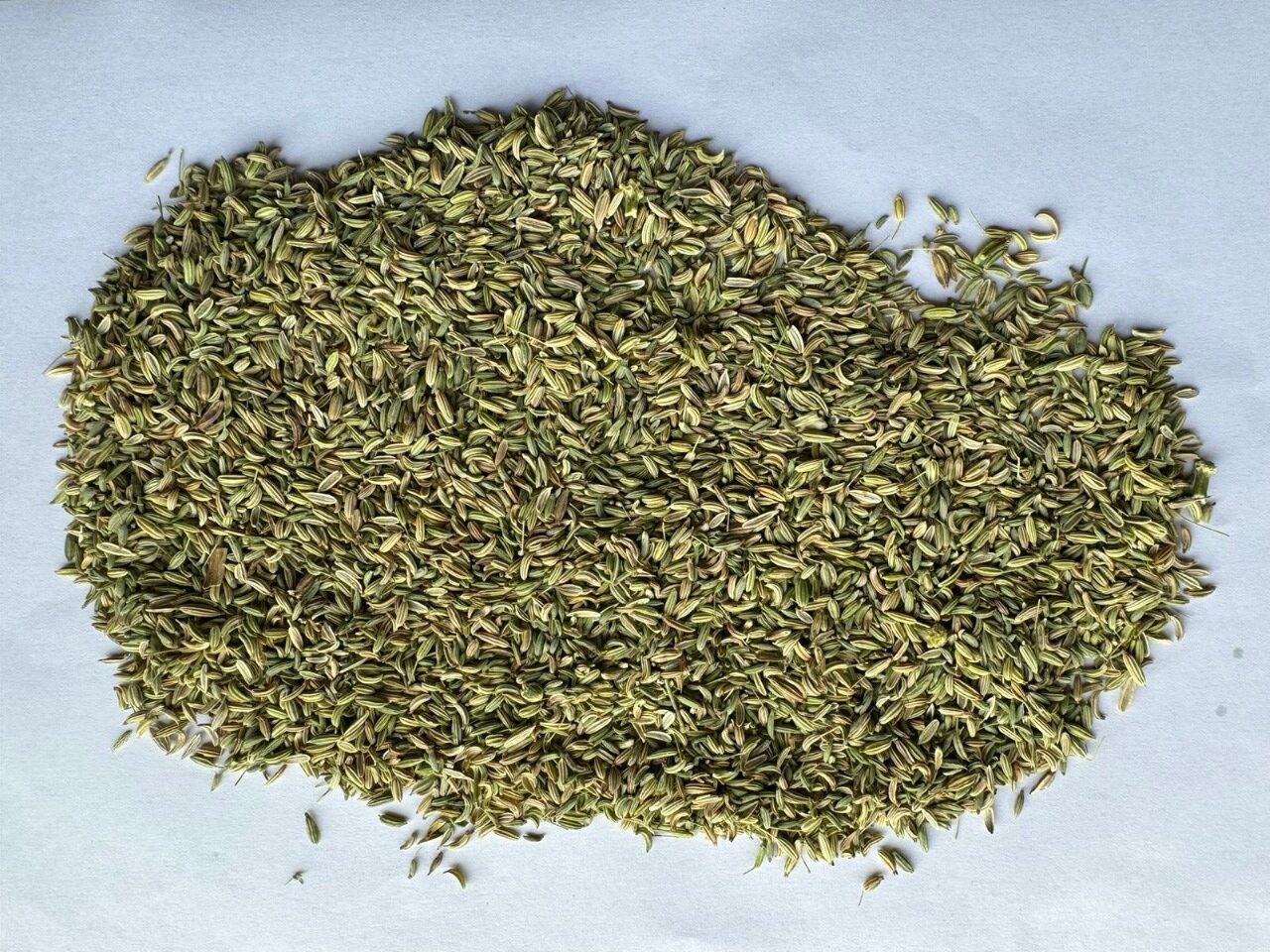 Fennel Seeds